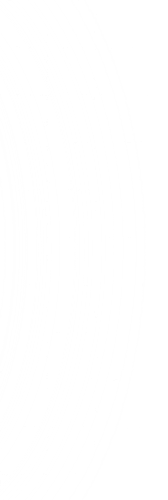 Ellipse 1.png