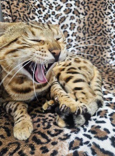 569406652 33060544250210965 4674289300589614389 n.jpg