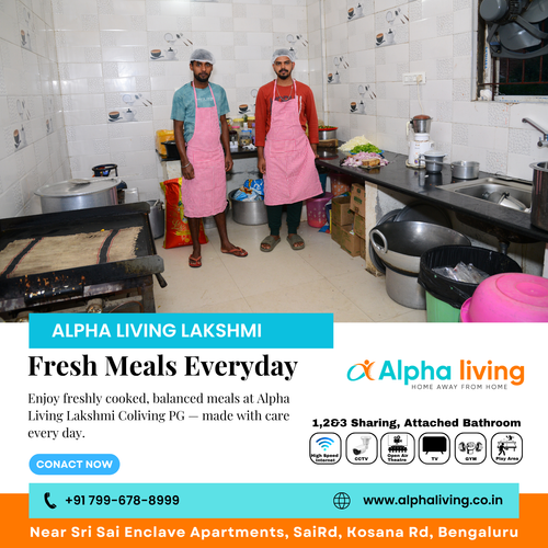Balanced meals keep you energetic through the day..png