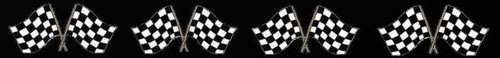 NASCAR 48.jpg