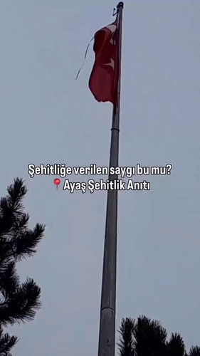xAiff01YdSEpun9i.jpg