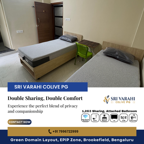 Looking for comfort and company?