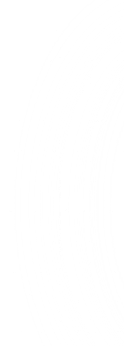 Ellipse 1.png