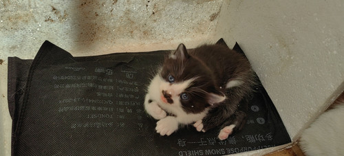 IMG 20251025 093508.jpg