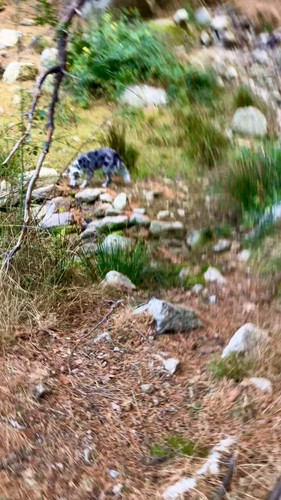 OY8A9UjHklF A1Bc.jpg