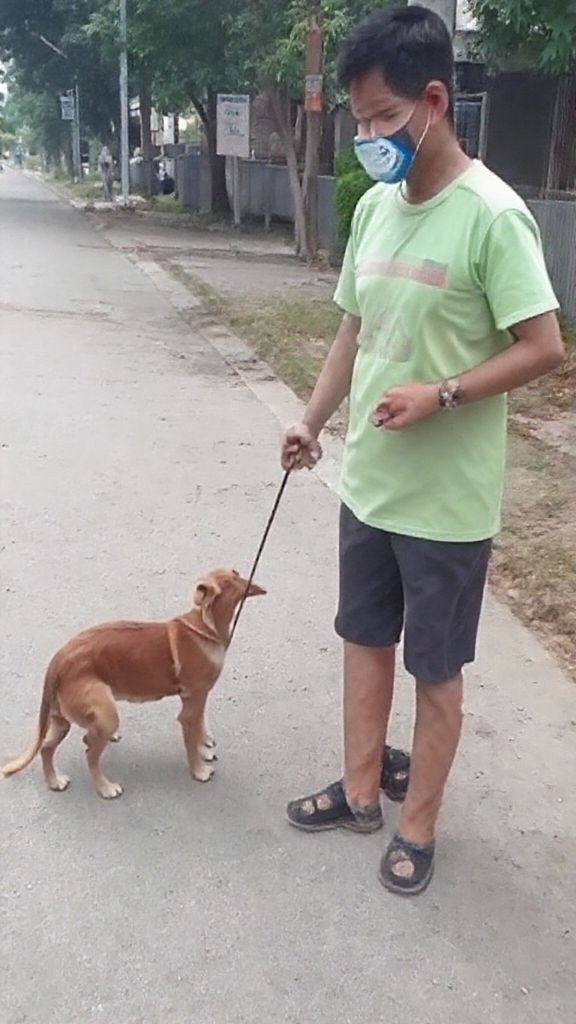 Proposed barangay ordinance in Makati draws flak for banning feeding of stray animals