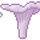 part%20of%20a%20mushroom%20divider