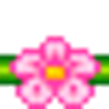 3pinkflowers