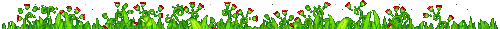 grass6.gif