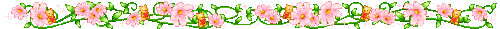 vinedivider.gif