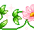 vinedivider