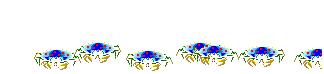 bluecrabs.gif