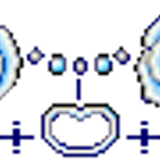 blue%20rose%20divider