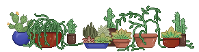 cacti.png