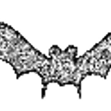 glitter%20bats