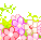 flowers3