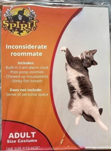 572092042 1242660757899044 806364188986585940 n.jpg