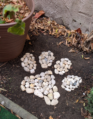 PXL 20251031 144705836.RAW 01.COVER.jpg