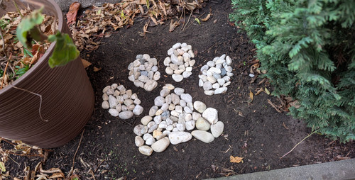 PXL 20251031 144702596.RAW 01.COVER.jpg