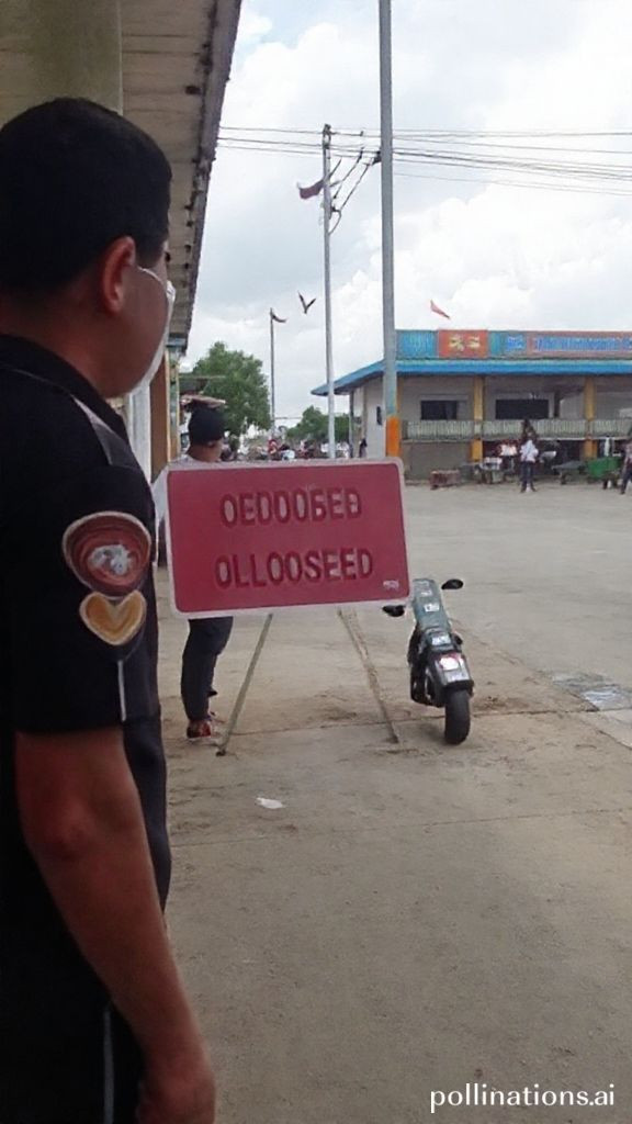 Lingayen Airport closed for 'Undas'