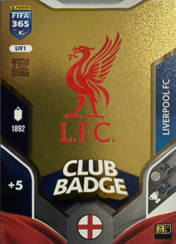 Adrenalyn XL fifa 365 numerate 28.jpg