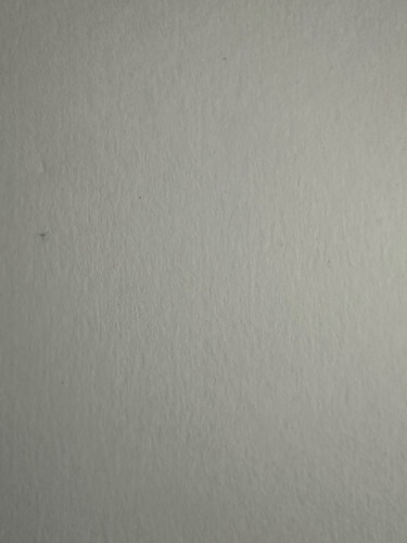 Adrenalyn XL fifa 365 numerate 355.jpg