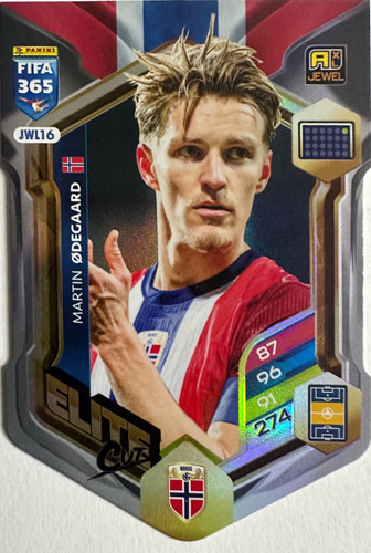 Adrenalyn XL fifa 365 numerate 376.jpg