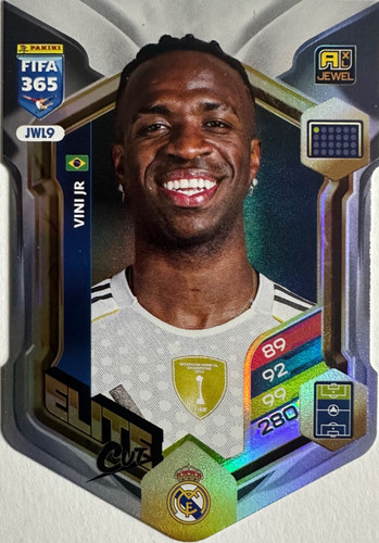 Adrenalyn XL fifa 365 numerate 369.jpg