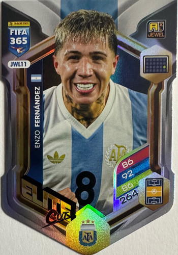 Adrenalyn XL fifa 365 numerate 371.jpg