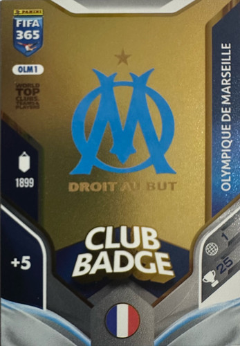 Adrenalyn XL fifa 365 numerate 46.jpg