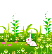 E83B4956 C562 4CA7 806E E223AD8B2861