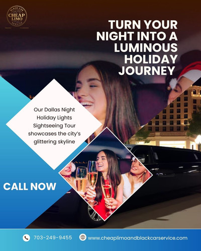 Dallas Night Holiday Lights Sightseeing Tour.jpg