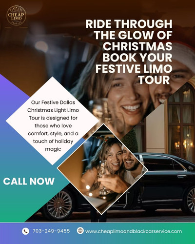 Festive Dallas Christmas Light Limo Tour.jpg
