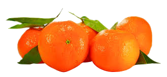 CLEMENTINE.png