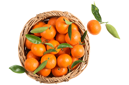 CLEMENTINE.png