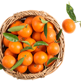 CLEMENTINE