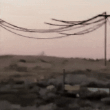 8a78a81e0762e8.gif