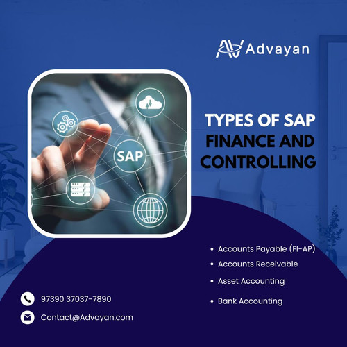Types of SAP Finance and Controlling.jpg