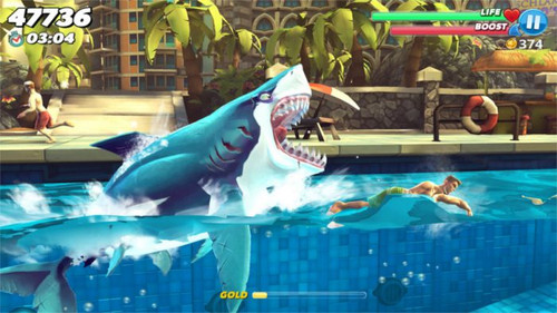 shark image 01 700x393