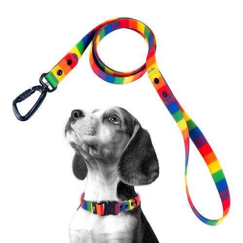 Adil’s Rainbow Dog Leash – Biothane Waterproof Leashes for Dogs.jpg