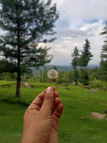 tuymi stories finding peace.jpg
