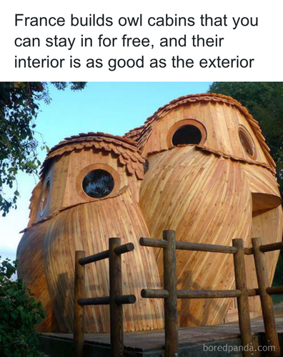 download 2025 11 06T081158.501.png