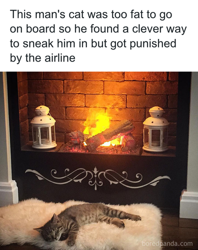 download 2025 11 06T080524.310.png