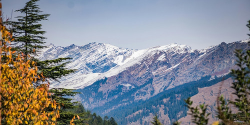 Embrace Nature’s Serenity with the Best Bhalukpong Tour Package.jpg