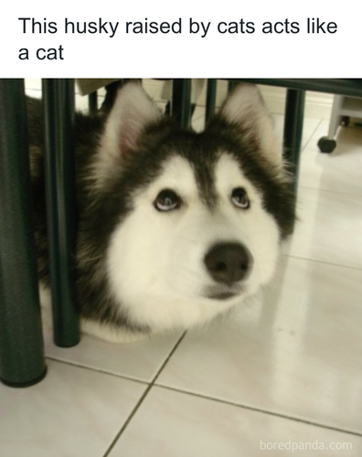 download 2025 11 06T162312.266.png