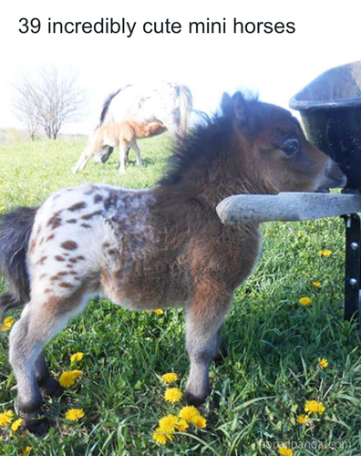 download 2025 11 06T162820.621.png