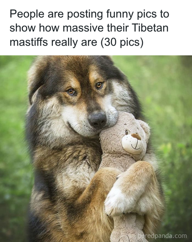 download 2025 11 06T161605.974.png