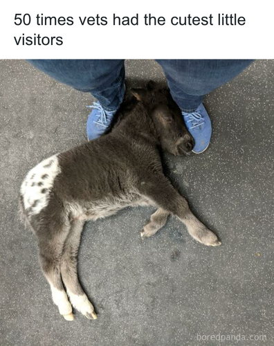 download 2025 11 06T163009.887.png