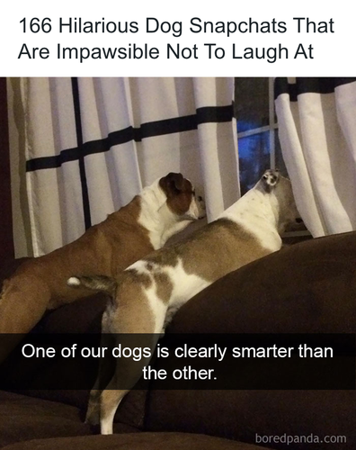 download 2025 11 06T161333.287.png