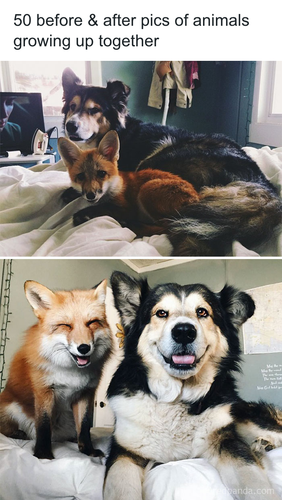 download 2025 11 06T164942.755.png